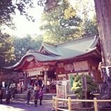 IMG_20131123_110624~01