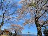 IMG_20190413_123853-1024x768