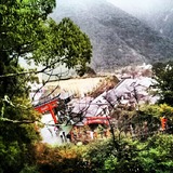 IMG_20121230_220921