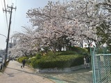 Fotor_155454437189957