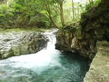 IMG_20220520_095850_copy_1024x768
