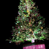 IMG_20131210_205322~01