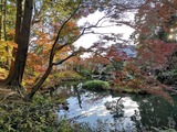 IMG_20201128_154325_copy_1024x768