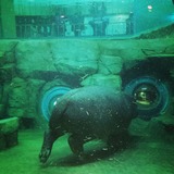 IMG_20131209_171740~01