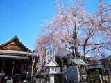 IMG_20190404_094107-1024x768