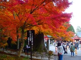 PB130068~01