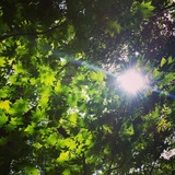 IMG_20130624_181324