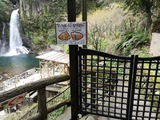 IMG_20190322_144400-1024x768