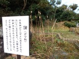 PC250132~01
