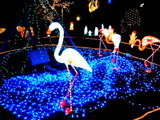 �縶