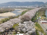 IMG_20190406_100425-1024x768