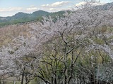 IMG_20190403_165852-1024x768