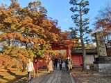 IMG_20201128_160527_copy_1024x768