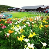 IMG_20140720_101306~01