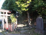 P1300180-800x600