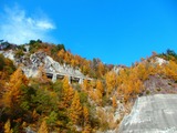 PA200031~01