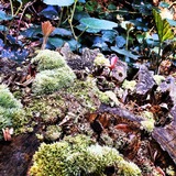 IMG_20130402_101158
