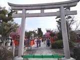 IMG_20220406_113722_copy_1024x768