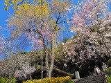 IMG_20190413_094826-1024x768