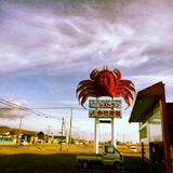 IMG_20121125_094008