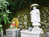 IMG_20220723_115823_copy_1024x768