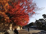 IMG_20211128_092123_copy_1024x768