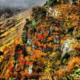 IMG_20141003_170313~01