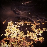 IMG_20131126_185157~01