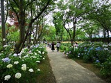 IMG_20190706_123425-1024x768