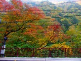 PA190019~01