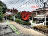 Fotor_15432188073404~01