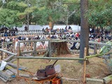 Fotor_151364641102368~01