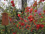 IMG_20220331_095826_copy_1024x768