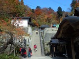 PB080094~01