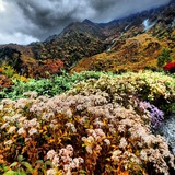 IMG_20141003_170826~01