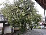 IMG_20190922_153712-1024x768