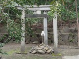P1250022~01