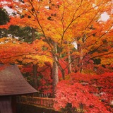 IMG_20131108_173153~01