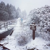 IMG_20131129_170323~01