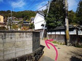 IMG_20190405_154537-1024x768