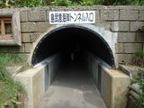P9030003~01