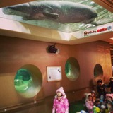 IMG_20131209_171839~01