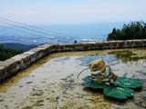 IMG_20190809_113524-1024x768