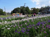 IMG_20190620_143218-1024x768