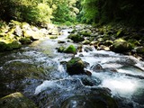 IMG_20190802_144934-1024x768