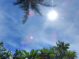 Fotor_151165536567521~01