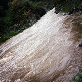 IMG_20131024_114948~01