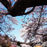 IMG_20140415_131157~01
