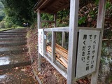 PB160022~01