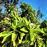 IMG_20130308_174311